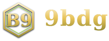 9bdg logo